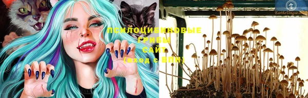 винт Белокуриха