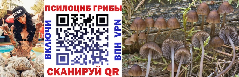 цены   Вытегра  Псилоцибиновые грибы мухоморы 